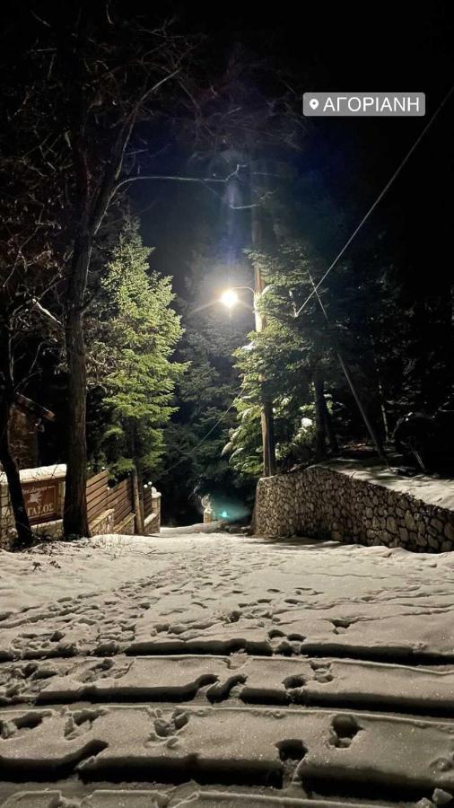 Asimina Guesthouse, Eptalofos Parnassos Guest house