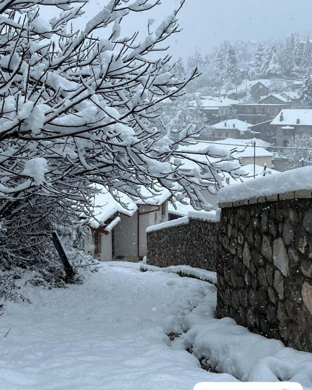 Pensjonat Asimina Guesthouse, Parnassos Eptálofos